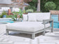 Hurley Park Chaise Lounge with Cushion